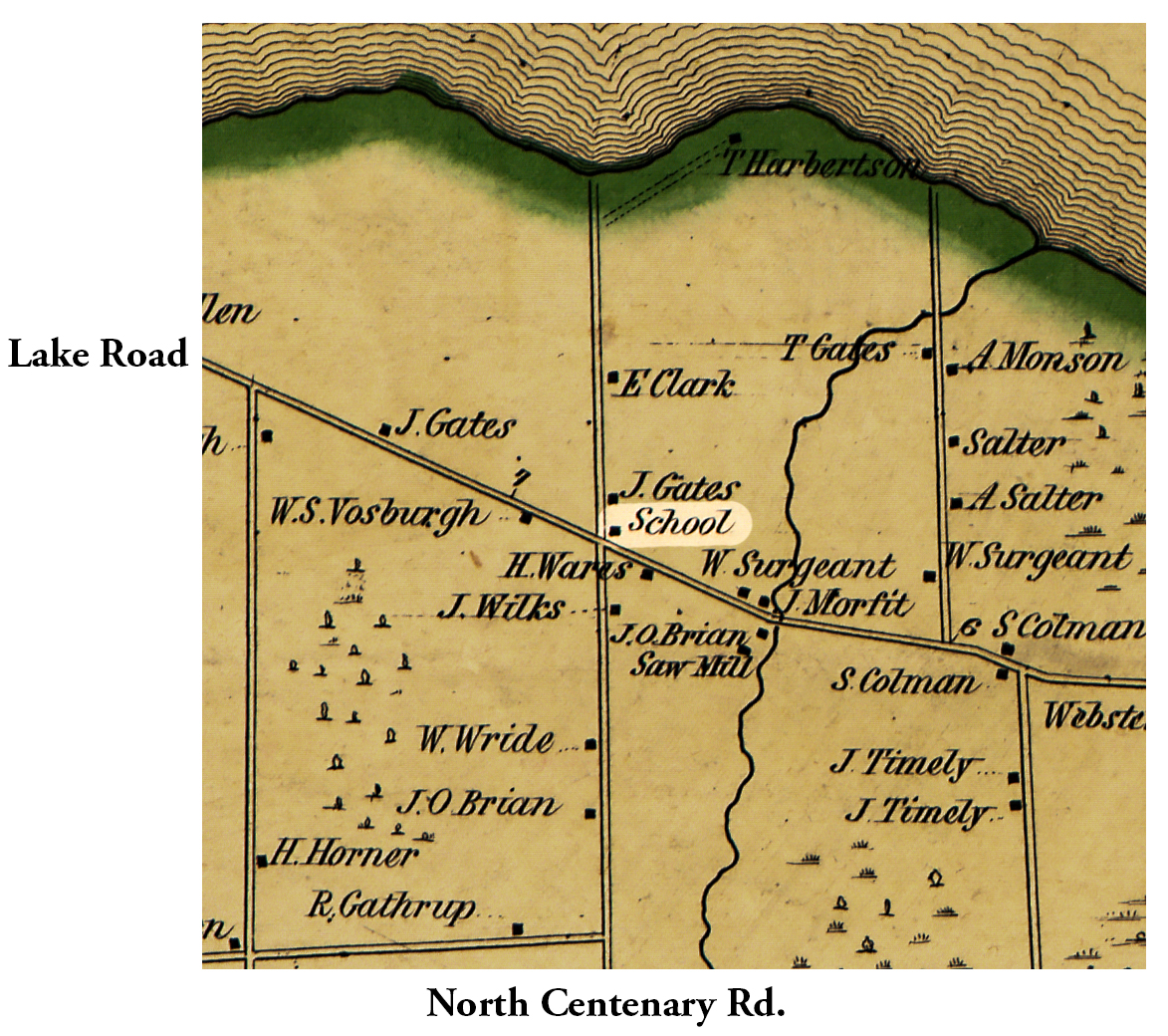 1853 Wayne County Sod-43 Excerpt Map